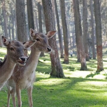 Guide to fun Summer Activities at Canada’s National Parks